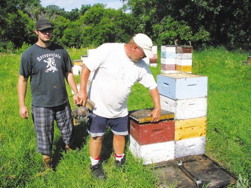 Canstar Community News July 24, 2013 - Marcus Wiens (left) and bee keeper Phil Veldhuis prepare to harvest the first honey of the summer from Veldhuis' hives near Starbuck. (ANDREA GEARY/CANSTAR)
