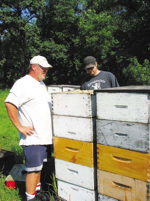 Canstar Community News July 24, 2013 - Bee keeper Phil Veldhuis (left) and assistant Marcus Wiens prepare to harvest the summer's first honey and divide up the hives near Starbuck. (ANDREA GEARY/CANSTAR)