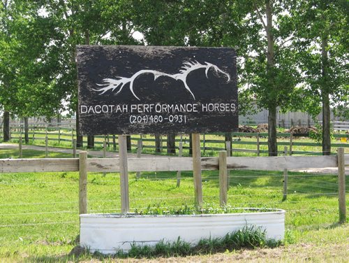 Canstar Community News July 30, 2013 - Dacotah Performance Horses is a boarding and riding stable located just south of the Trans-Canada Highway in Dacotah. (ANDREA GEARY/CANSTAR COMMUNITY NEWS)
