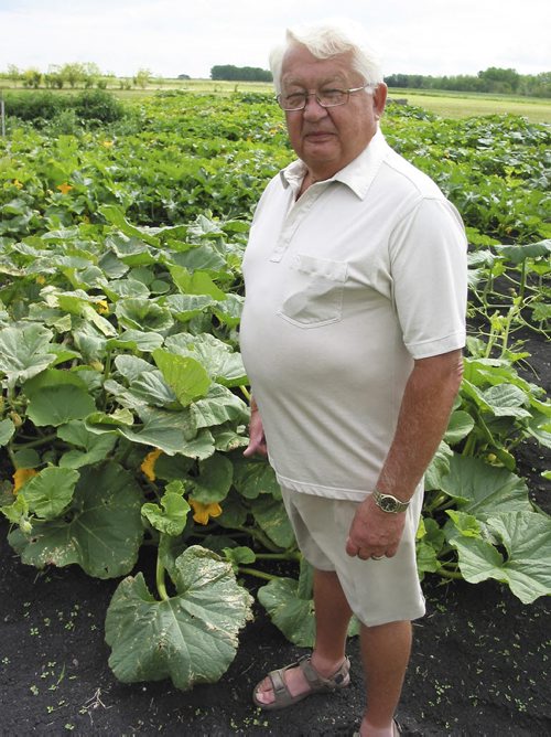 Canstar Community News AUG. 7, 2013 -- Stan Soltes is growing pink pumpkins at his daughter's home on Forbes Road for an October fundraiser for CancerCare Manitoba. SIMON FULLER/CANSTAR NEWS