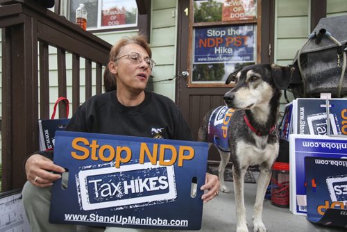 Lauri St. Germain, with her dog Nikken, has been handing out "Stop the NDP PST Hike" signs around her neighbourhood and the city of Winnipeg. She picks them up from the Progressive Conservative office in order to make the signs available from her home on Burrows Ave. outside regular business hours. Wednesday, August 7, 2013. (ADAM WAZNY) (JESSICA BURTNICK/WINNIPEG FREE PRESS)