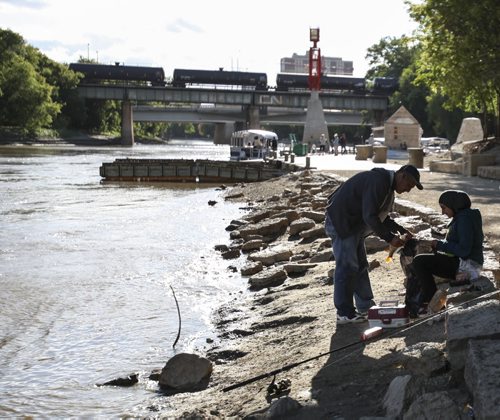 Adnan Kadhim (left) is helped by his daughter Zahra to bag a carp he's just caught at the fork of the Red and Assiniboine Rivers. Thursday, August 8, 2013. (JESSICA BURTNICK/WINNIPEG FREE PRESS)