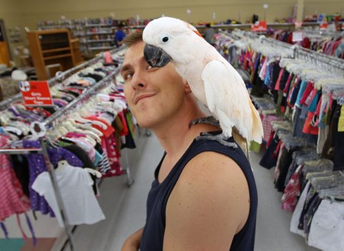 Shopping Pal- Aaron  Slobodzian with his bird  Dana a Moluccan Cockatoo in Value Village on Jefferson Ave during his thrift shop shopping outing Monday  Standup Photo-August 12, 2013   (JOE BRYKSA / WINNIPEG FREE PRESS)