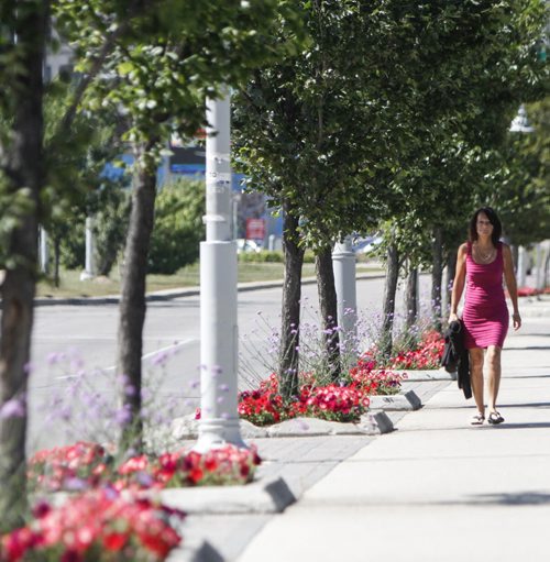 Pretty in pink. Monique Lambert's dress is a perfect match for the flowers planted along Pioneer Ave. during her afternoon walk home from work today. Temperatures are expected to hit the mid- to high-20s all week. Tuesday, August 13, 2013. (JESSICA BURTNICK/WINNIPEG FREE PRESS)