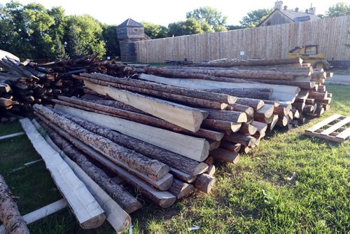 Festival du Voyageur  has reported 320 , 19ft logs  valued at $10,00  being used to replace the wall of Fort Gibraltar have been stolen .  KEN GIGLIOTTI / Aug 20 2013 / WINNIPEG FREE PRESS
