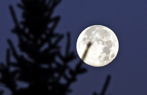 Stdup Äì  Full Moon over Winnipeg Wednesday morning,  KEN GIGLIOTTI / Aug 21 2013 / WINNIPEG FREE PRESS