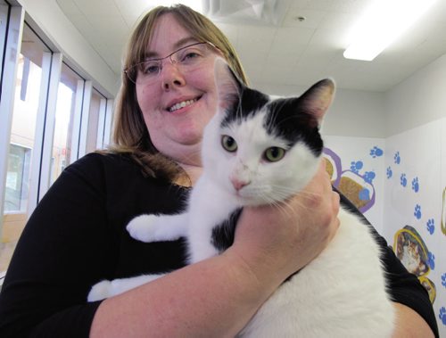 Canstar Community News Aug 14, 2013- Judy Dean, adoptions manager at the Winnipeg Humane Society, said this isnÄôt the first time WHS has done Free Cat Friday. She said every time is extremely busy and encourages adopters to show up early with crate in hand. (STEPHCROSIER/CANSTARNEWS)