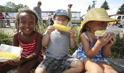 (Left to right) Hana Mazinke, 7, and siblings Jax Sanders, 4, and Molly, 6, enjoy fresh cobs of corn at the festival. Established in 1967, the Morden Corn and Apple Festival is the town's chief attraction, and is always held in the fourth week of August. Friday, August 23, 2013. (JESSICA BURTNICK/WINNIPEG FREE PRESS)