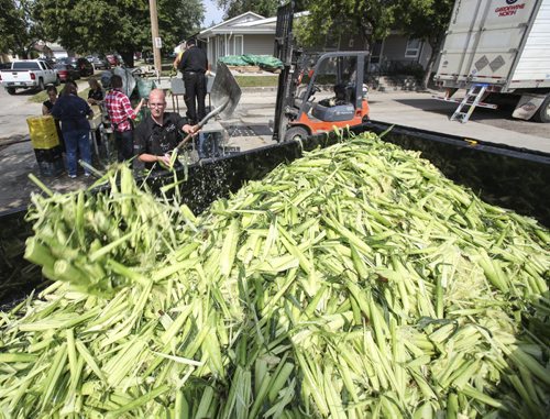 Where there is corn, expect husks. Allen Heppner of C2C Cleaning Supply gathers up and shovels corn husks into a nearby trailer. Established in 1967, the Morden Corn and Apple Festival is the town's chief attraction, and is always held in the fourth week of August. Friday, August 23, 2013. (JESSICA BURTNICK/WINNIPEG FREE PRESS)
