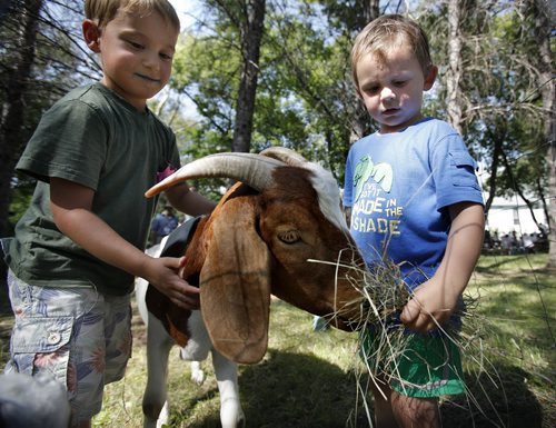 August 25, 2013 - 130825  -  Seth Kalinski (L) and Carwyn Rostie play with Bailey at the Cooks Creek Heritage Day Sunday, August 25, 2013. John Woods / Winnipeg Free Press