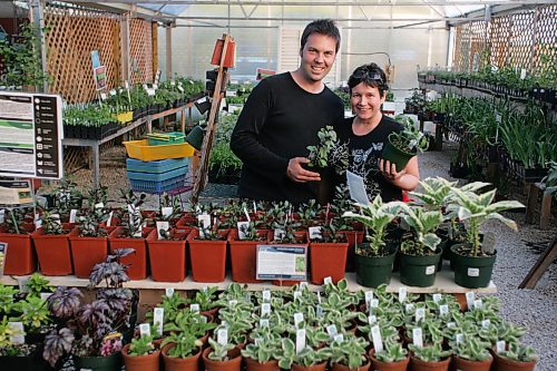 BORIS MINKEVICH / WINNIPEG FREE PRESS  070516 Organic gardening. Dave Hanson and Evelyn Yauk own and run Sage Garden Herbs, the city's only 100% organic garden centre. They sell all sorts of organic stuff there. Books and organic fertilizer.
