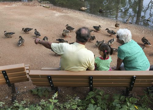 Francesca Patek, 3, found a shady spot to feed the ducks at Kildonan Park on Tuesday morning with her grandparents Sue and Ed. Tuesday, August 27, 2013. (JESSICA BURTNICK/WINNIPEG FREE PRESS)