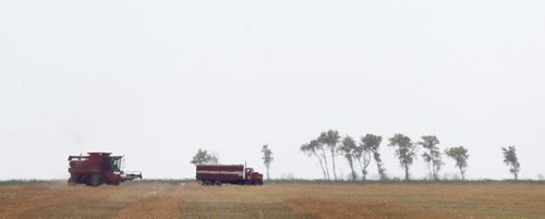 Combine and truck stand out against the sky Tuesday near Sperling. Saturday Harvest Picture Page. August 27, 2013 - (Phil Hossack / Winnipeg Free Press)