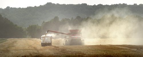 Dust frames a combine against the Manitoba Escarpment near Roseisle Mb. as it dumps grain from it's hopper into a waiting grain truck Tuesday. Saturday Harvest Picture Page. August 27, 2013 - (Phil Hossack / Winnipeg Free Press)