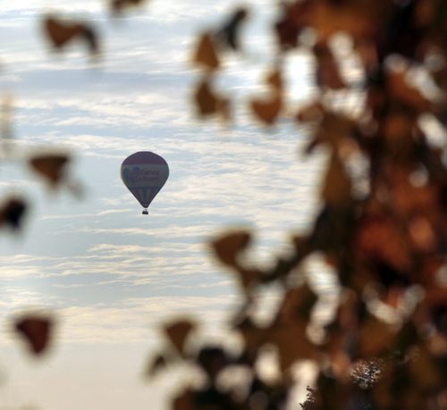 A hot air balloon through leaves changing colour, drifts over Winnipeg on a warm Wednesday morning.  story Wayne Glowacki / Winnipeg Free Press Aug. 28 2013