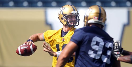 Blue Bomber QB Justin Goltz Friday at the morning workout. Ed Tait story. August 30, 2013 - (Phil Hossack / Winnipeg Free Press)