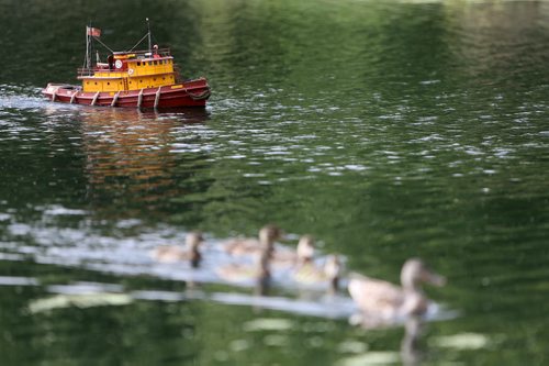 The Winnipeg Model Boat Club sails their boats around the Duck Pond in Assiniboine Park, Sunday, September 1, 2013. (TREVOR HAGAN/WINNIPEG FREE PRESS)