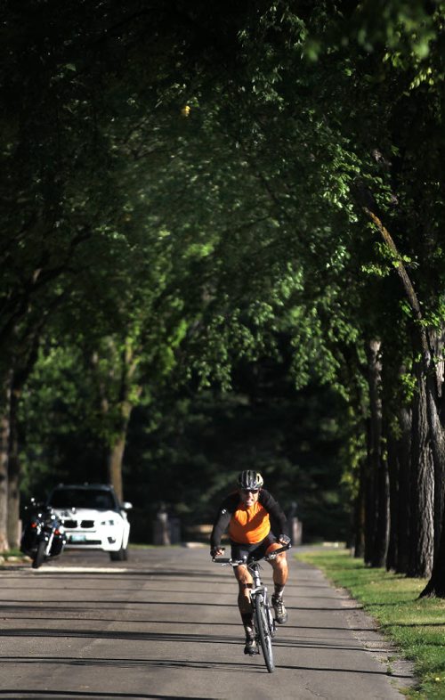 A cyclist freewheels along Assiniboine Park's Walk of Fame Tuesday evening. See Story re:City Parks.....September 4, 2013 - (Phil Hossack / Winnipeg Free Press)