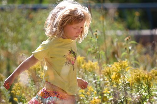 Five year old  Mae Culleton hikes through the prairie gardens while visiting the Forks with their mom and brother (Dru - 7yrs, not in picture) Thursday afternoon on their last day off of school. The young students who are in the St. Boniface school division start their first day of classes tomorrow morning  Standup feature photo. Sept 05,, 2013 Ruth Bonneville Winnipeg Free Press