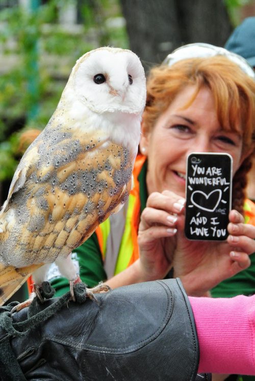 Andrea Nicholson with the Downtown BIZ snaps a photo of Luna the Barn Owl who was being showed off at the Wildlife Haven table during Cyclovia on Broadway Sunday afternoon.   130908 September 02, 2013 Mike Deal / Winnipeg Free Press