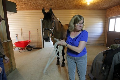 Robert and Liane Parker have horses and a horse arena close to Birds Hill Park. Here Liane is with one of the horses.  BORIS MINKEVICH / WINNIPEG FREE PRESS. Sept. 10, 2013