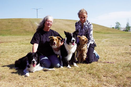 Canstar Community News Sepr. 5, 2013 - Hull's Haven Border Collie Rescue executive director Sally Hull and recent foster parent Carolyn Whitehead are shown with past and present rescue dogs at Victoria Jason Park. (DAN FALLOON/CANSTAR COMMUNITY NEWS/HERALD)