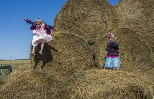 130914 Winnipeg - DAVID LIPNOWSKI / WINNIPEG FREE PRESS (September 15, 2013)  Identical twin princess sisters Cassie Reid (Pink dress) and Sierra Reid (Blue dress) have fun on the hay bales at Aurora Farm Sunday morning. The farm opened their barn gates to the public, and offered many demonstrations including goat milking Sunday. Aurora Farm was one of many farms that participated in the Provincial Open Farm Day on September 15th.