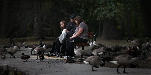 Family Flock...Sharon, Wayne and their daughter Brenna (who asked that their last name not be used) spend the twilight hour a St Vital Park Monday evening feeding a fall feast of cracked corn to geese and ducks beside the pond. September 16, 2013 - (Phil Hossack / Winnipeg Free Press)