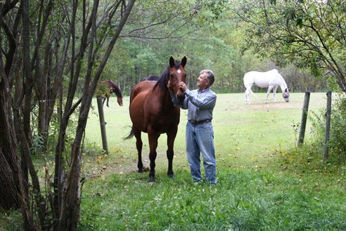 Don Rocan, a resident of Springfield municipality near loves spending time with his horses on his acreage near Birds Hill Park.  See Bill Redekop's Story.  Sept  17,, 2013 Ruth Bonneville Winnipeg Free Press