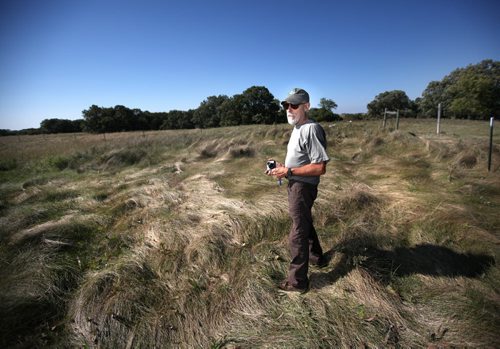 Roseisle artist Stephen Jackson surveys waves of prairie grasses at the SourisFord Burial Mounds Tuesday afternoon. See Bart Kives story re: Mounds and Coulter Park National Historic Sites. September 17, 2013 - (Phil Hossack / Winnipeg Free Press)