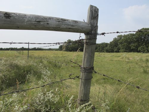 Sourisford 2 and 3: What remains of the linear mounds has long ago been disturbed by potsherd hunters and archeologists, but remains behind barbed wire. BARTLEY KIVES / WINNIPEG FREE PRESS