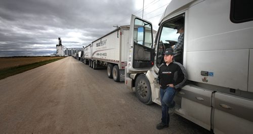 Owner Operator truckers Andy Carr (standing) and Terry Cumberland wait in line at the Patterson Inland Grain Terminal Friday on the NW outskirts of WInnipeg. According to Andy the lineup was about three and a half hours of waiting, they'd been there for about half that time in a line that stretched at least twenty tractor trailers long delivering a record harvest. See Larry Kusch story. September 20, 2013 - (Phil Hossack / Winnipeg Free Press)