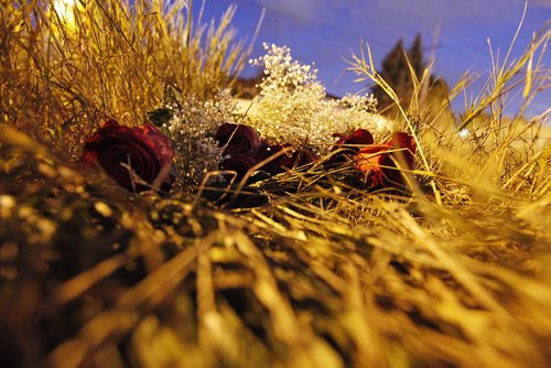 September 22, 2013 - 130922  - A bunch of roses sit in the long grass at the scene of a double fatal mvc on Gateway at Budden Drive Sunday, September 22, 2013.  John Woods / Winnipeg Free Press