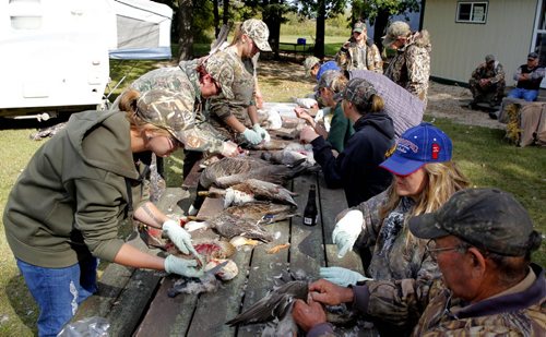 Manitoba Wildlife Federation's Women's waterfowl hunt. The group practices butchering and plucking ducks and geese. BORIS MINKEVICH / WINNIPEG FREE PRESS. Sept. 22, 2013