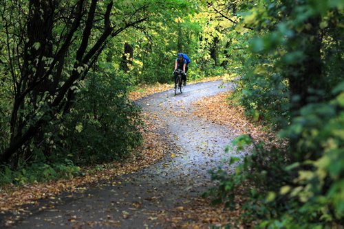 A cyclist makes its way down the the winding bike trail along the Assiniboine River Thursday afternoon just east of the Assiniboine Park entrance.  Standup photo.  Sept  26,, 2013 Ruth Bonneville Winnipeg Free Press