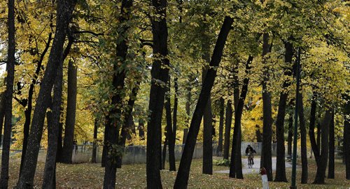 Stdup Äì cool temps ideal for  walk or ride through the park  , leaves begin change in Kildonan Park with the start of autumn  KEN GIGLIOTTI / SEPT 27 2013 / WINNIPEG FREE PRESS
