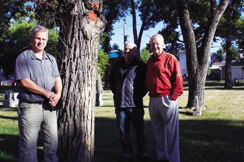 Canstar Community News Sept. 17, 2013 - International Society of Arboriculture Prairie chapter director Matt Vinet, Elmwood Cemetery manager Bob Watling, and Friends of Elmwood Cemetery executive director Robert Filuk, are shown with a tree marked to be removed because it is infected with Dutch elm disease. (DAN FALLOON/CANSTAR COMMUNITY NEWS/HERALD)