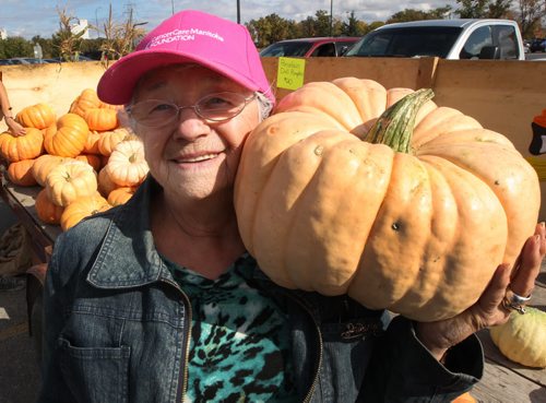 Cancer Care volunteer Pat Larence holds pink coloured pumpkin- The Cancer Care Manitoba fundraising project is in the parking lot of St Vital shopping centre next to Old Navy- all sales  to benefit the fight against breast cancer. Farmer Stan Soltes,not pictured, 75, whose own daughter is fighting cancer, has spent the growing season tending to a crop of the special pink-coloured pumpkins. The pumpkin variety, known as porcelain doll, is characterized by a light pink colour. Proceeds from the sale of the pumpkins will to go to CancerCare Manitoba, directed to breast cancer research and care.The special strain of pumpkin is excellent for baking, with a dark, sweet flesh interior perfect for muffins and pies.-Standup photo- Oct 03, 2013   (JOE BRYKSA / WINNIPEG FREE PRESS)