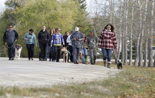 Participants in a dog "pack walk" through St. Francois Xavier, led by Debbi McArthur, not shown, a dog trainer, Sunday, October 6, 2013. (TREVOR HAGAN/WINNIPEG FREE PRESS)