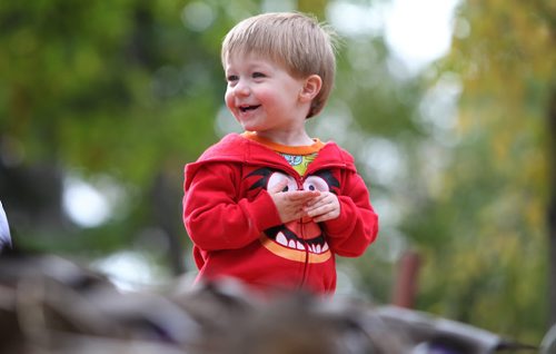 Twenty month old Ryder Buors laughs as he is surrounded by ducks along the creek at Kildonan Park Tuesday while attending park with family.  Standup photo  Oct   08,, 2013 Ruth Bonneville Winnipeg Free Press