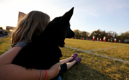 Hannah Hudson, 12, and her dog Molly watching the Vincent Massey Trojans play the Kelvin Clippers in High School Football at Vincent Massey Collegiate, Wednesday, October 9, 2013. (TREVOR HAGAN/WINNIPEG FREE PRESS)