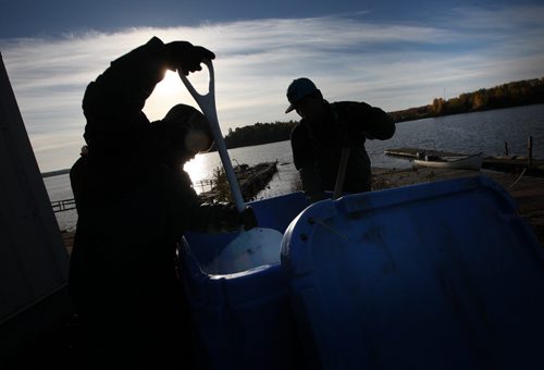 Silouetted against the sunrise, fishers shovel ice into tubs to keep fish harvested from fishing nets cool till they are delivered to the local fishing station at Hollow Water.  October 9, 2013 - (Phil Hossack / Winnipeg Free Press)