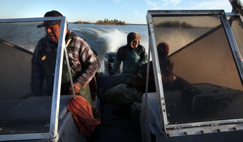 Staying warm against the early morning chill Harvey Bushie (left) steers his boat out onto the calm early morning Lake Winnipeg Waters taking his crew out to an island based fishing camp where they will disperse in different boats to harvest fish. Harvey Bushie and his son Rick harvest fish from the Lake Winnipeg Waters near Hollow Water. October 9, 2013 - (Phil Hossack / Winnipeg Free Press)