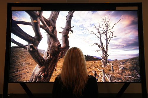 October 15, 2013 - 131015  - A woman watches the Samsung S9 a $39,000 85 inch television at Advance Tuesday, October 15, 2013. John Woods / Winnipeg Free Press