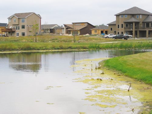 Canstar Community News Sept. 18, 2013 - One of the retention ponds in Headingley's Deerpointe Park development. (ANDREA GEARY/CANSTAR COMMUNITY NEWS)