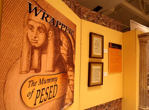 Manitoba Museum opens new exhibit  - Wrapped The Mummy of Pesed in Alloway Hall,  a temporary exhibit  about the mummification process, ancient Egyptian society or about hieroglyphs.  Oct 22, 2013 Ruth Bonneville Winnipeg Free Press