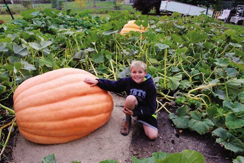 Canstar Community News Milan Lukes with one of his giant pumpkins. (JORDAN THOMPSON)