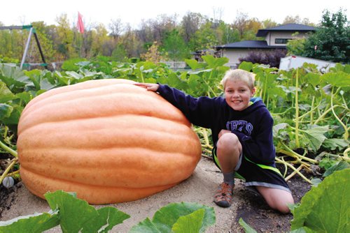 Canstar Community News Milan Lukes with one of his giant pumpkins. (JORDAN THOMPSON)