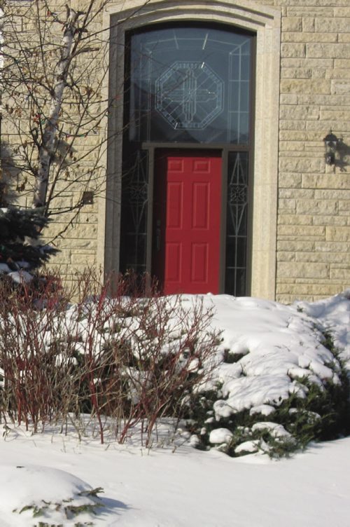 Canstar Community News Red-twigged dogwood paired up a trimmed hedge is a simple effective visual connection to the front door. (SUPPLIED/CARLA KEAST/CANSTAR)