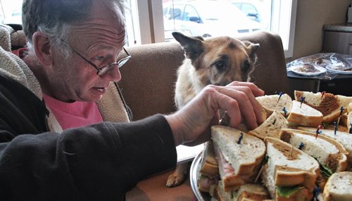 Marvin Loewen takes a sandwich while Freya watches intently from the couch at the Anderson Animal Hospital and Wellness Centre. The hospital is hosting a post chemotherapy celebration for three dogs (two German Shepards and one Shepard-Husky cross) who were diagnosed with Lymphoma (lymph node cancer) all around the same time. All three dogs went though 25 weeks of chemotherapy and the cancer has gone into remission in all of them. 131024 - October 24, 2013 MIKE DEAL / WINNIPEG FREE PRESS
